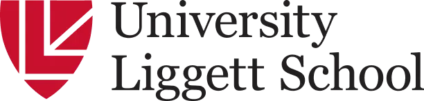 OptimizedImage,Optimized