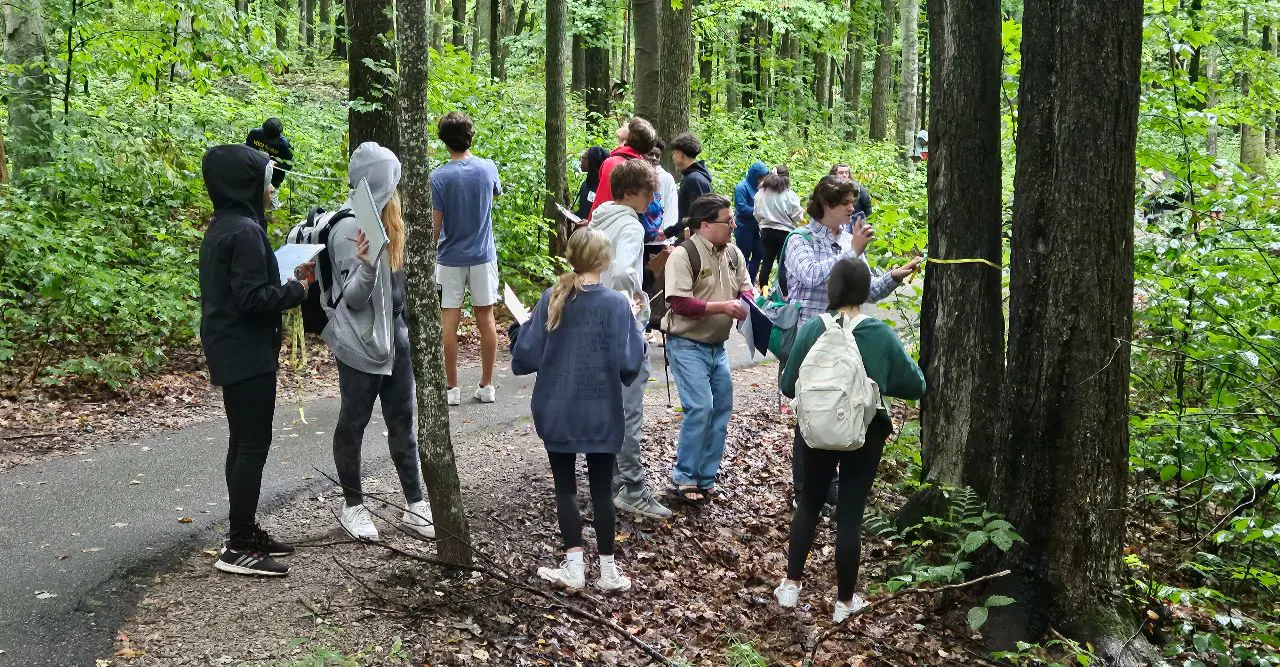 OptimizedImage,,,Optimized