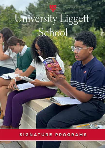  OptimizedImage,Optimized