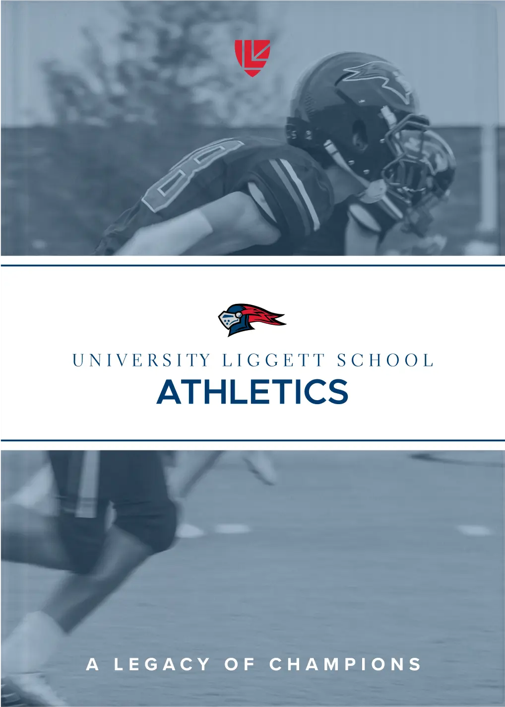 OptimizedImage,Optimized